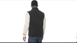 The North Face Mens TKA 100 Trinity Alps Fleece Vest SKU 8066695 [upl. by Tiphane]