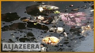 🇮🇳 Death and disease in Indias Yamuna River  Al Jazeera English [upl. by Edward]