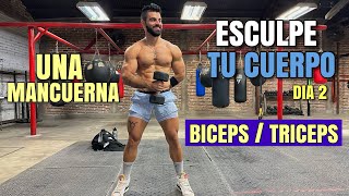 Rutina de Biceps y Triceps Esculpe TU CUERPO Dia 2 28 Minutos Quema Grasa Gana Músculo [upl. by Gherardi759]