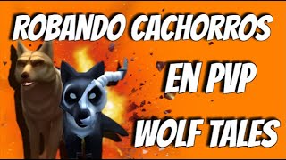 Robando Cachorros en PVP Wolf Tales [upl. by Lewse]