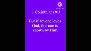 Bible Verse  1 Corinthians83 NKJV Jesus Love BibleverseFaith [upl. by Burger]