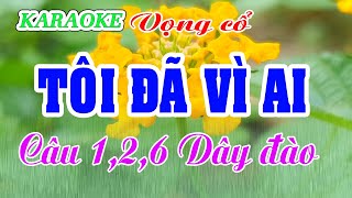 KARAOKE TÔI ĐÃ VÌ AI  Trăng Thu Dạ Khúc  VC 126 Dây đào [upl. by Yenolem415]