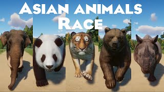 Asian Animals Speed Race in Planet Zoo included Giant Panda Indian Rhino Indian elephant amp etc [upl. by Imoyn]