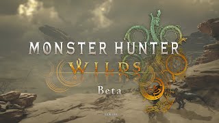 Monster Hunter Wilds Beta PS5  Wir suchten rein [upl. by Kornher]