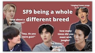 sf9 is a different breed [upl. by Granlund]