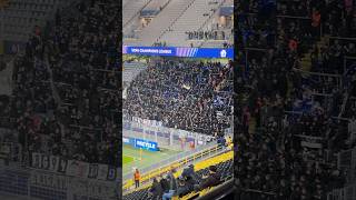 STURM GRAZ FANS 2h vor Anpfiff Borussia Dortmund  Sturm Graz BVBSTU Graz BVB SturmGraz [upl. by Ulu]