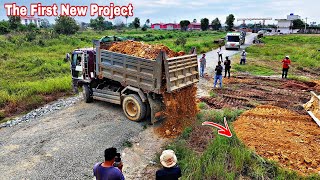 The First New Project Dozer D31P amp Truck Good cooperation in filling the flooded area in the village [upl. by Ruzich]