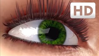 How eyelashes grow  Nanolash® eyelash serum Explainer Video [upl. by Dachi]