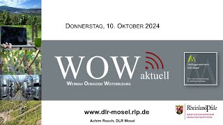 WOW aktuell 10102024 DLR Mosel [upl. by Aiyot970]