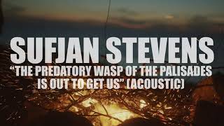 Sufjan Stevens quotThe Predatory Wasp of the Palisades is Out to Get Usquot ACOUSTIC AUDIO [upl. by Masha]