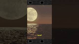 The Moon and the Waves Understanding Ocean Tides [upl. by Terrell]