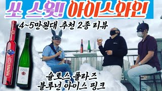 아이스와인ㅣ디저트와인ㅣ독일 와인 2종ㅣ추천 리뷰 ice wine reviewㅣ Schloss VolladsㅣBlue NunㅣEiswein drink 술리뷰 낮술 술먹방 [upl. by Kevan]