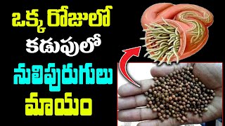 ఒక్క రోజులో కడుపులో నులిపురుగులు మాయం Kills Intestinal Worms Benefits of Vayu Vidangalu KSKHome [upl. by Eek]