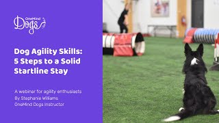 FREE Webinar Dog Agility Skills  5 steps to a solid startline stay [upl. by Monah661]