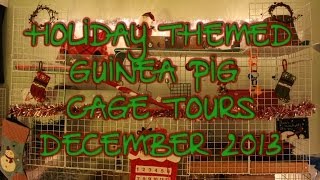 Holiday Themed Guinea Pig Cage Tour December 2013 [upl. by Arretal348]