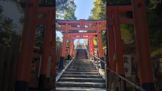 From MtTakatori Beautiful townscape of Kobe｜The Inland Sea SETOUCHI Tourism Authority｜JNTO Members [upl. by Animrelliug]