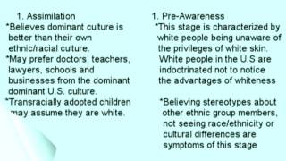 Introduction to EthnicRacial Identity Development for Young Adultsmpg [upl. by Aline]