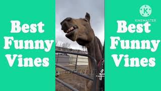 RxCKSTxR Comedy Voiceover Compilation Funny Vines 2 [upl. by Notreve994]