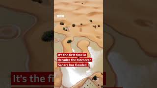 Why is the Sahara desert under water  BBC Africa shorts [upl. by Ahsahtan]