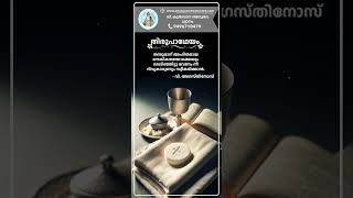 തിരുപാഥേയം emmausretreatcentremallappally syromalabar jesusstatus thirupatheyam [upl. by Mell]