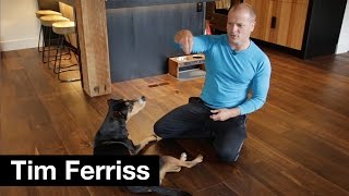 Dog tricks command safety and vanity  Tim Ferriss [upl. by Liamaj325]