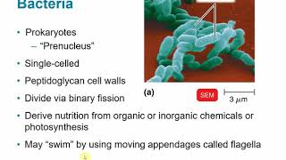 BIOL 2117 Chapter 1  The Microbial World and You [upl. by Nilok]