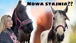 NOWA STAJNIA SPACER Z KONIEM 🤩🤩  VLOG 64 [upl. by Ahtabbat]