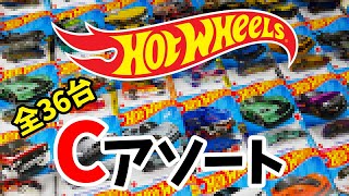 ホットウィール 2024年3月のベーシックカーCアソート トレハン以外にも個性的な車が登場！C498298MCCB [upl. by Phillie]