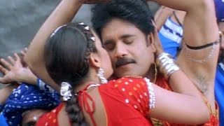 Goldrangu Video Song  Shivamani Telugu Movie  Nagrajuna Rakshita [upl. by Marven969]