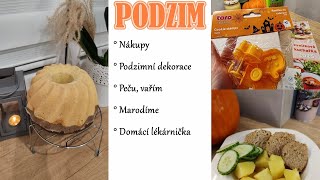 MARODÍME🤒DOMÁCÍ DĚTSKÁ LÉKÁRNIČKA 💊NÁKUPY PENNYLIDLALBERT🛒PEČU BÁBOVKU🥧 NEJLEPŠÍ SEKANÁ [upl. by Ethelinda911]