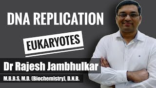 DNA Replication in Eukaryotes Dr Rajesh Jambhulkar MBBSMDDNB [upl. by Necyla]