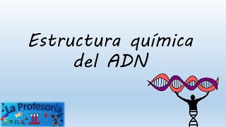 Estructura química ADN [upl. by Jimmy985]