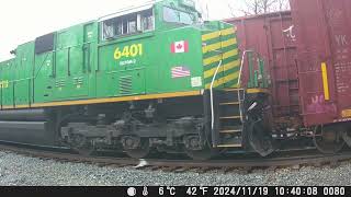 241124 South Facing Backyard Railcam [upl. by Kessel]