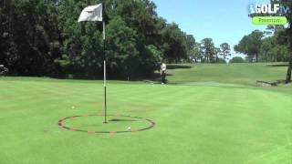 Great golf tip What makes a great chipper [upl. by Lednar319]