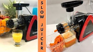 Slow Masticating Juicer  Review and Demo  Homever [upl. by Callas540]