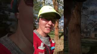 Salomon Adv Skin 12 Hydration Vest Review — 3rd run 9 miles marathontraining [upl. by Nanji]