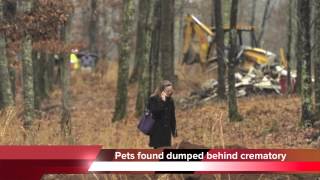 Carcasses found dumped in sacks behind pet crematory in Tennessee [upl. by Lilybelle]