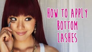 How to Apply Bottom False Eyelashes [upl. by Armahs20]