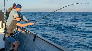 yellowtail fishing in cedros island  cedros sportfishing with toro [upl. by Annissa]