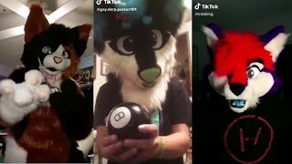 Furry TikTok Cringe [upl. by Asserrac]