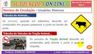 21 NORMAS DE CIRCULAÇÃO  Luzes e Buzina Pedestres Animais e Outros [upl. by Eseer]