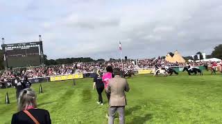 Duble winning Shetland Pony Grand National  Heat at Burghley Horse Trials [upl. by Nairrot]