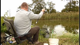 Łowienie na spławik Początek jesieni na Baryczy w miejscowości Żabin [upl. by Frederich]