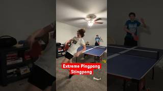 Extreme Ping pong Sting Pong [upl. by Tammara]