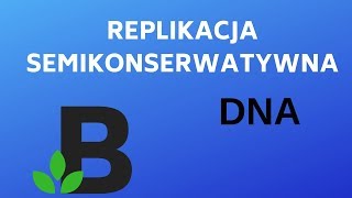 replikacja SEMIKONSERWATYWNA  genetyka  KOREPETYCJE z BIOLOGII  203 [upl. by Attolrac201]