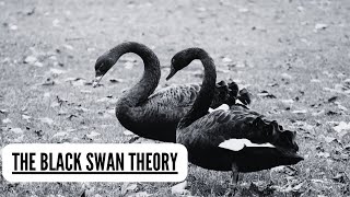 The black Swan Theory philosophy knowledge [upl. by Inkster]