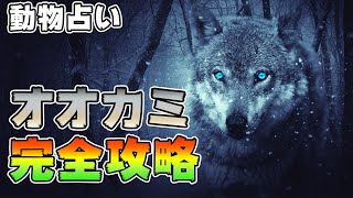 【個性心理学】狼オオカミの攻略法 vol275 [upl. by Gnouv322]