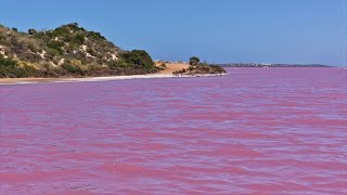 Hutt Lagoon  The Pink Lake  Yallabatharra  WA [upl. by Akino]