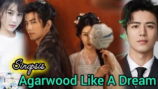 Agarwood Like A Dream Chinese drama 2024  Li Jiu Lin And Zhang Ya Zhao [upl. by Nalo]