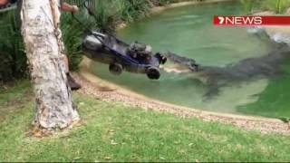 Crocodile battles lawn mower [upl. by Eselehs]